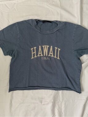 Brandy Melville Hawaii Blue Crop Top